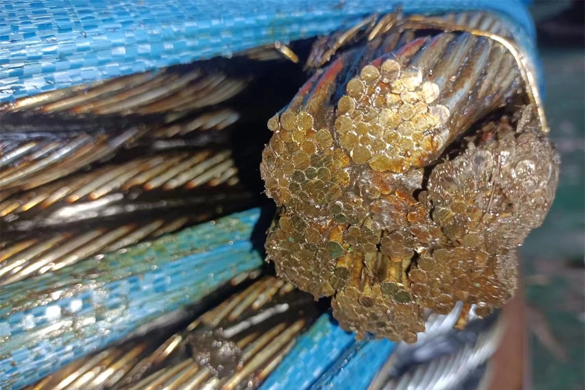 Struktur IWRC pada Tali Kawat Baja - Bagian 2